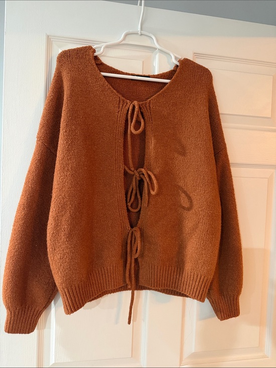 PrettyGarden Sweaters - Tie-Front Crewneck Sweater in Rust